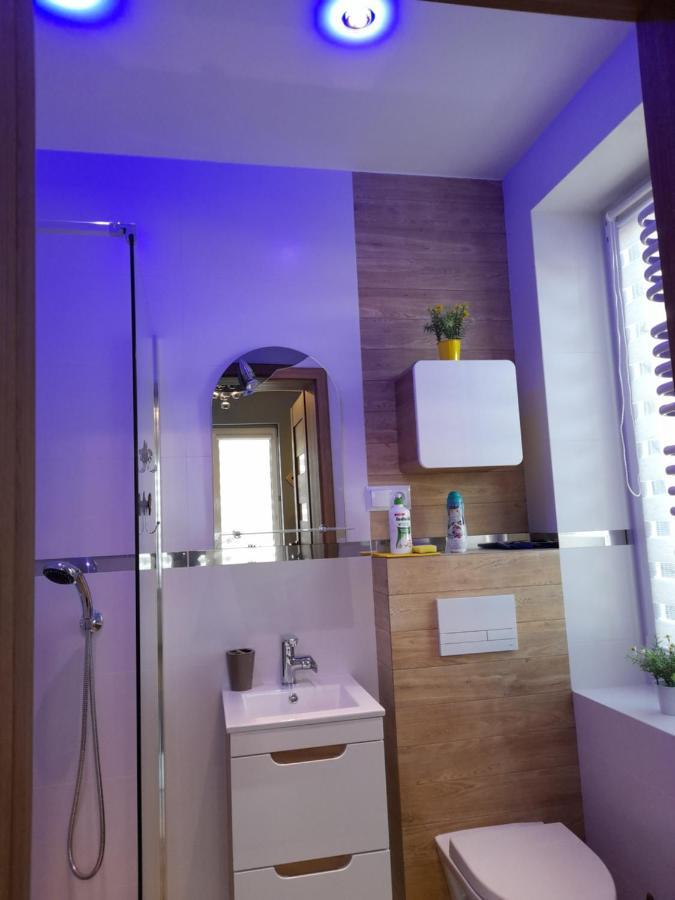 Tu Sie Spi Apartment Bodzentyn Екстериор снимка